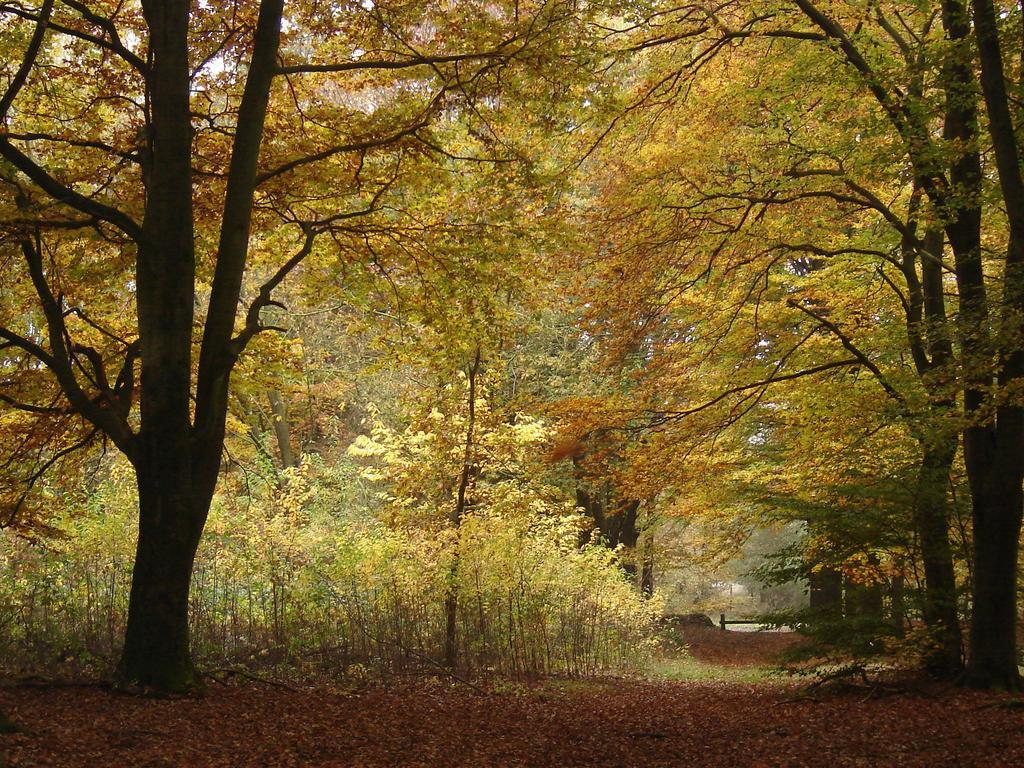 Hof Van Putten Εξωτερικό φωτογραφία